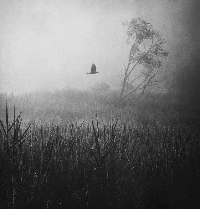 , Krzysztof Trojanowski