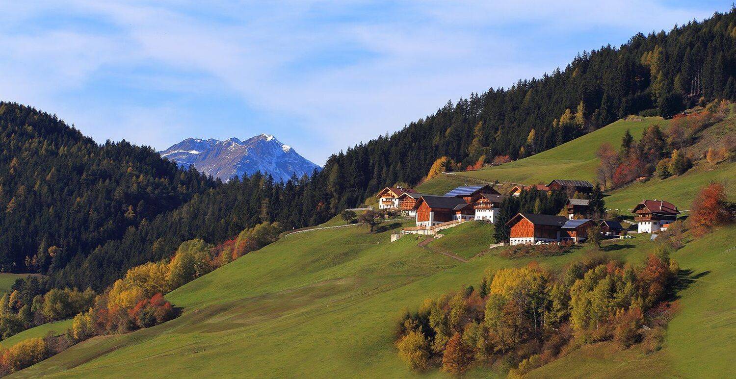 , Игорь Дубровский