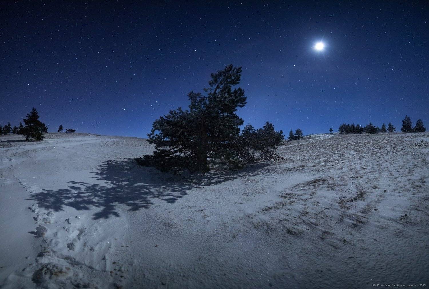 пейзаж, романлюбимский, ночь, елка, снег,луна, тень, , Роман Любимский