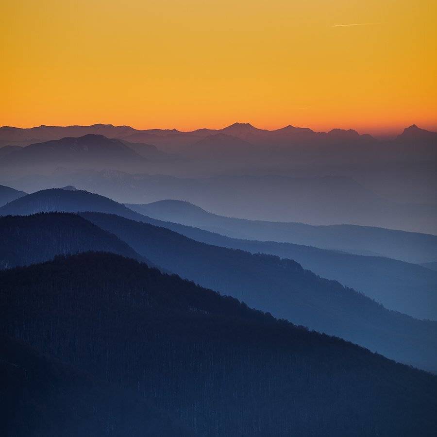 , Bogdan Panait
