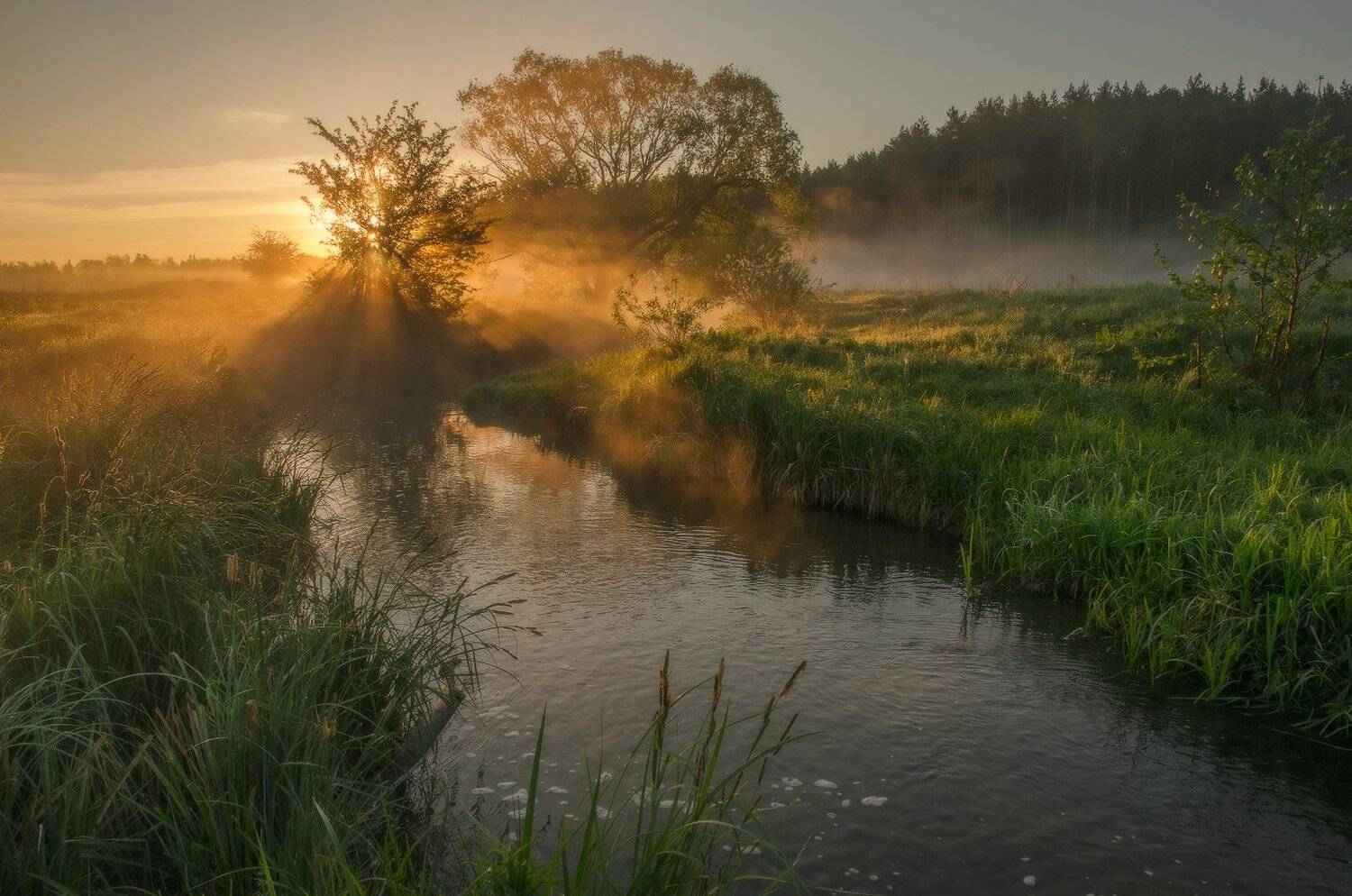 , Сергей Добровольский