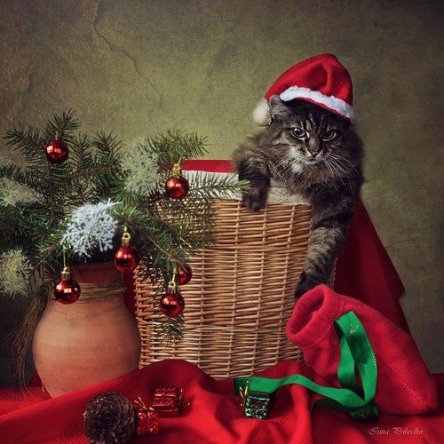 Санту вызывали?
