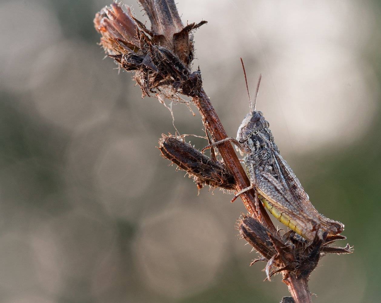 , Андрей Канышев