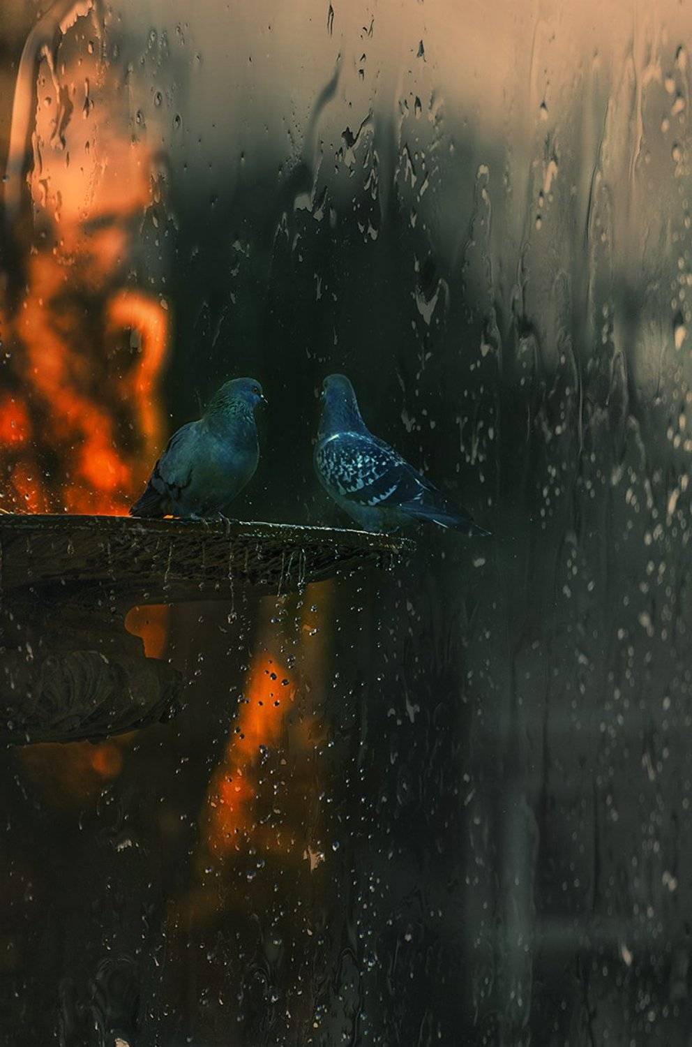 , Desislava Ignatova