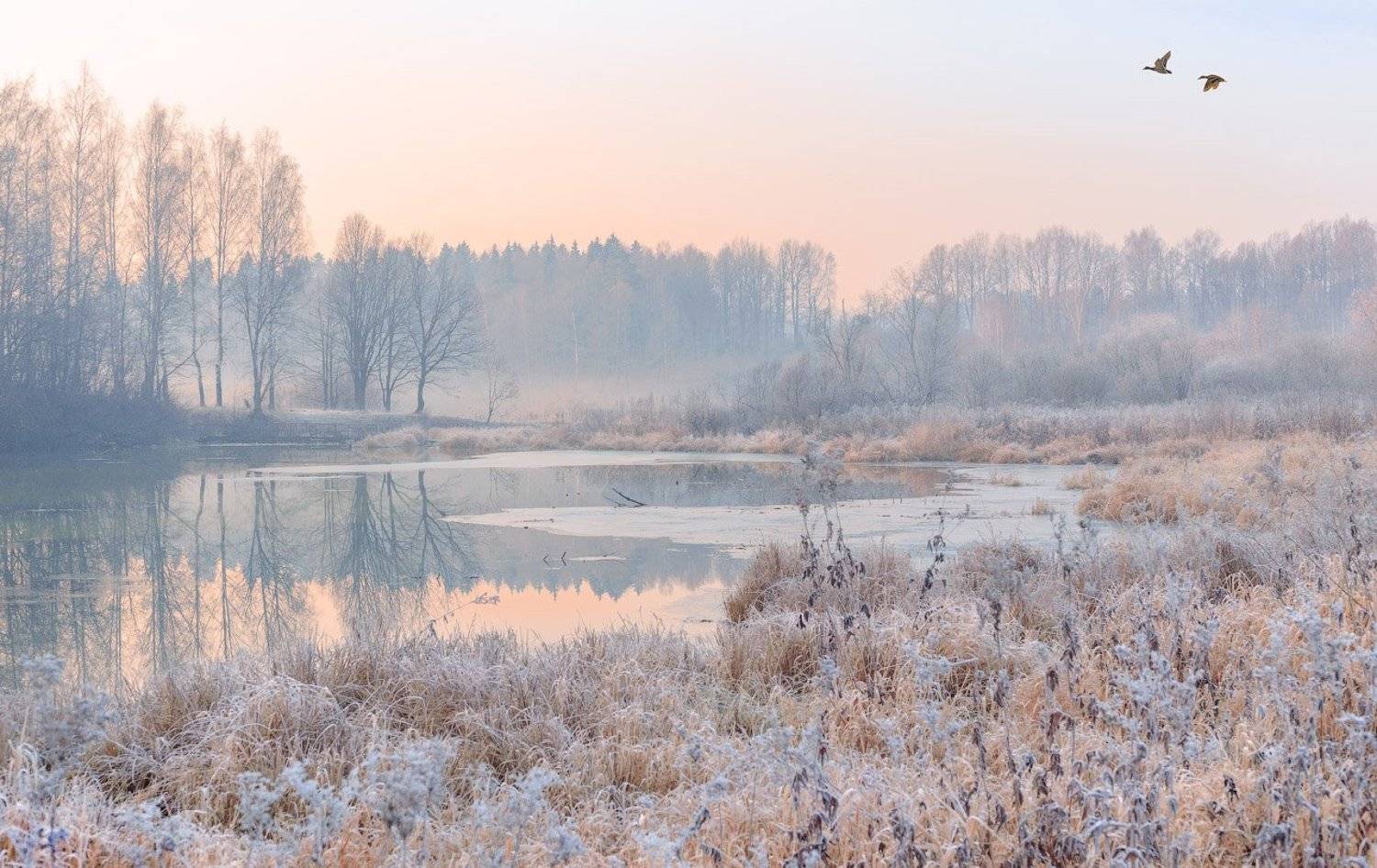 Зима, Пруд, Рассвет, Река, Утки, Утро, Виктор Климкин