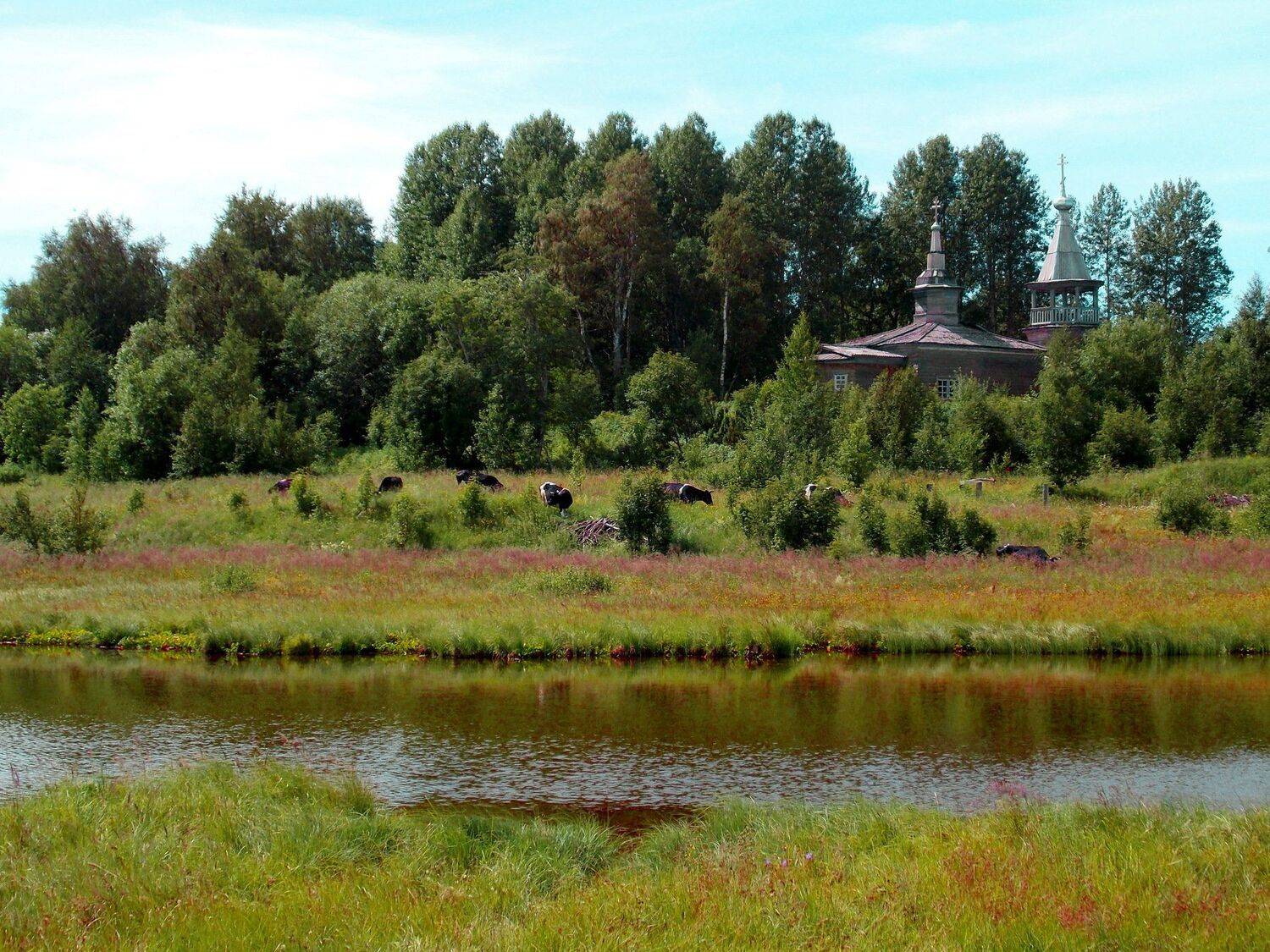 , Марина Никулина
