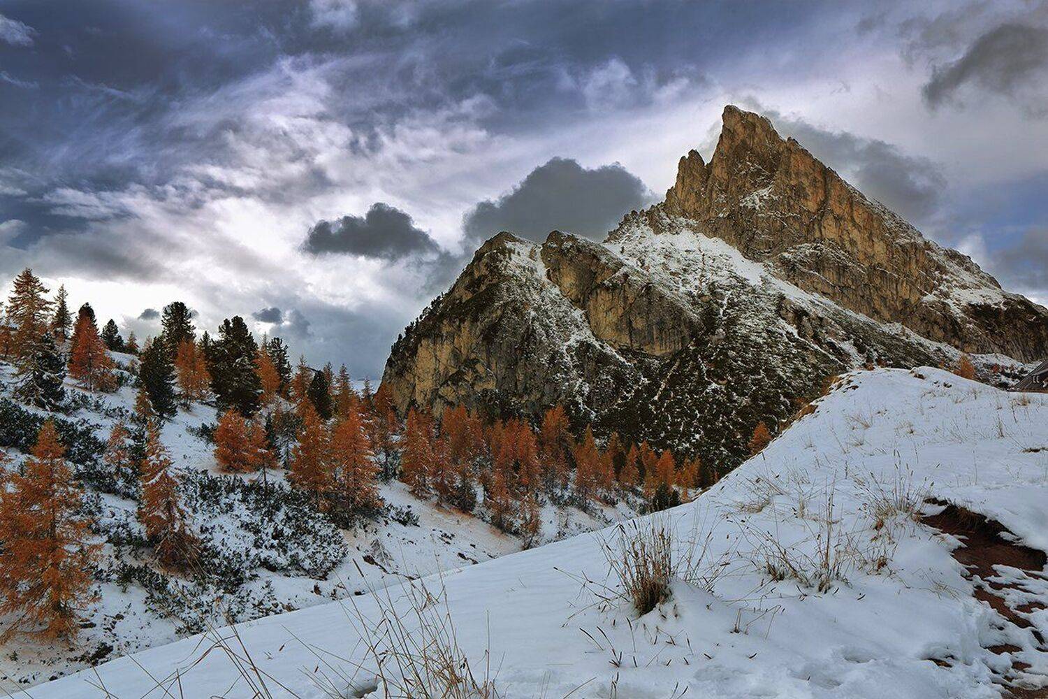 , Игорь Дубровский