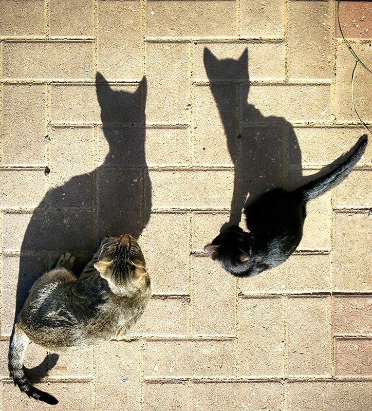 На солнышке фото превью