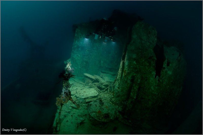 Rosalie Muller фото превью