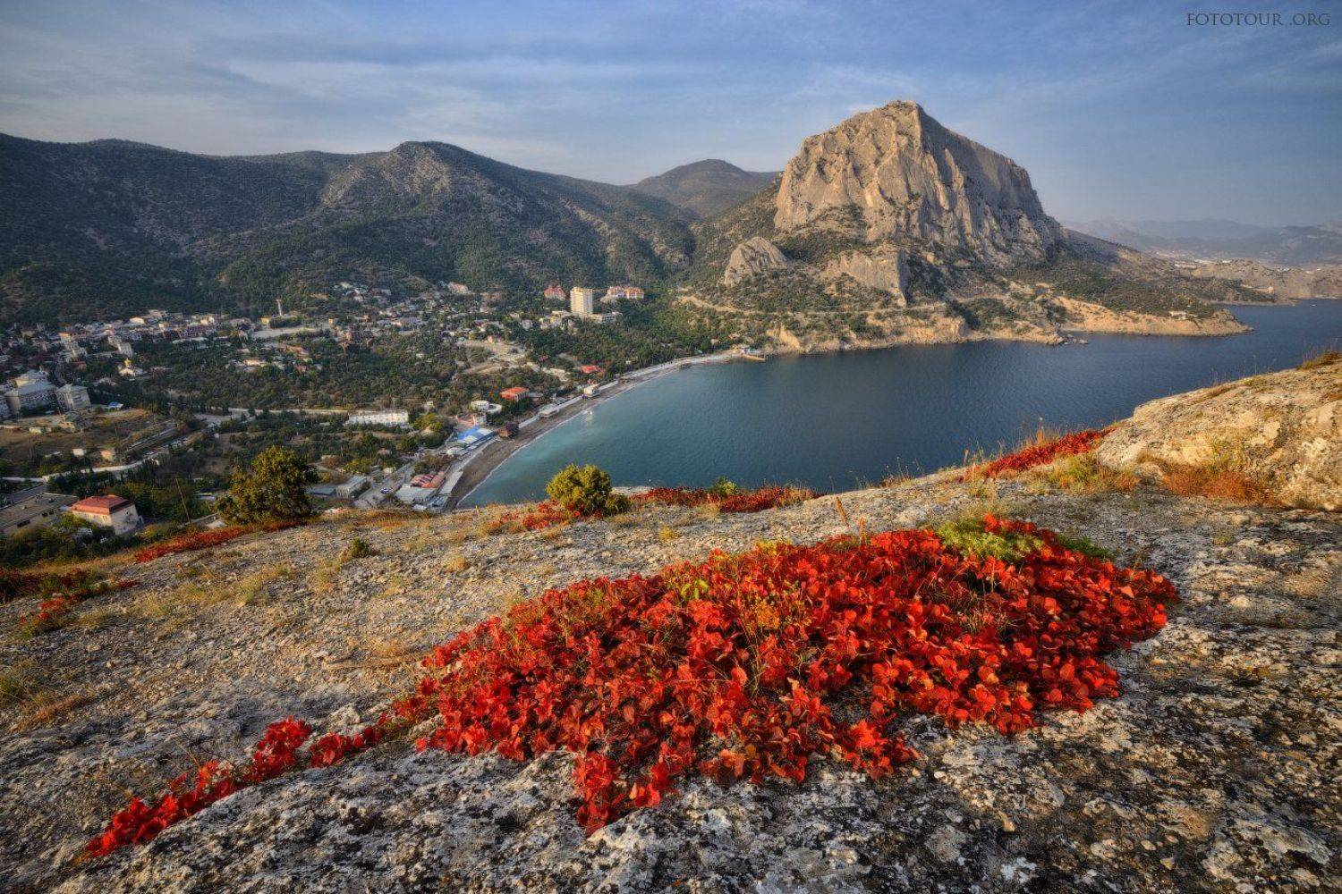 , Анатолий Гордиенко