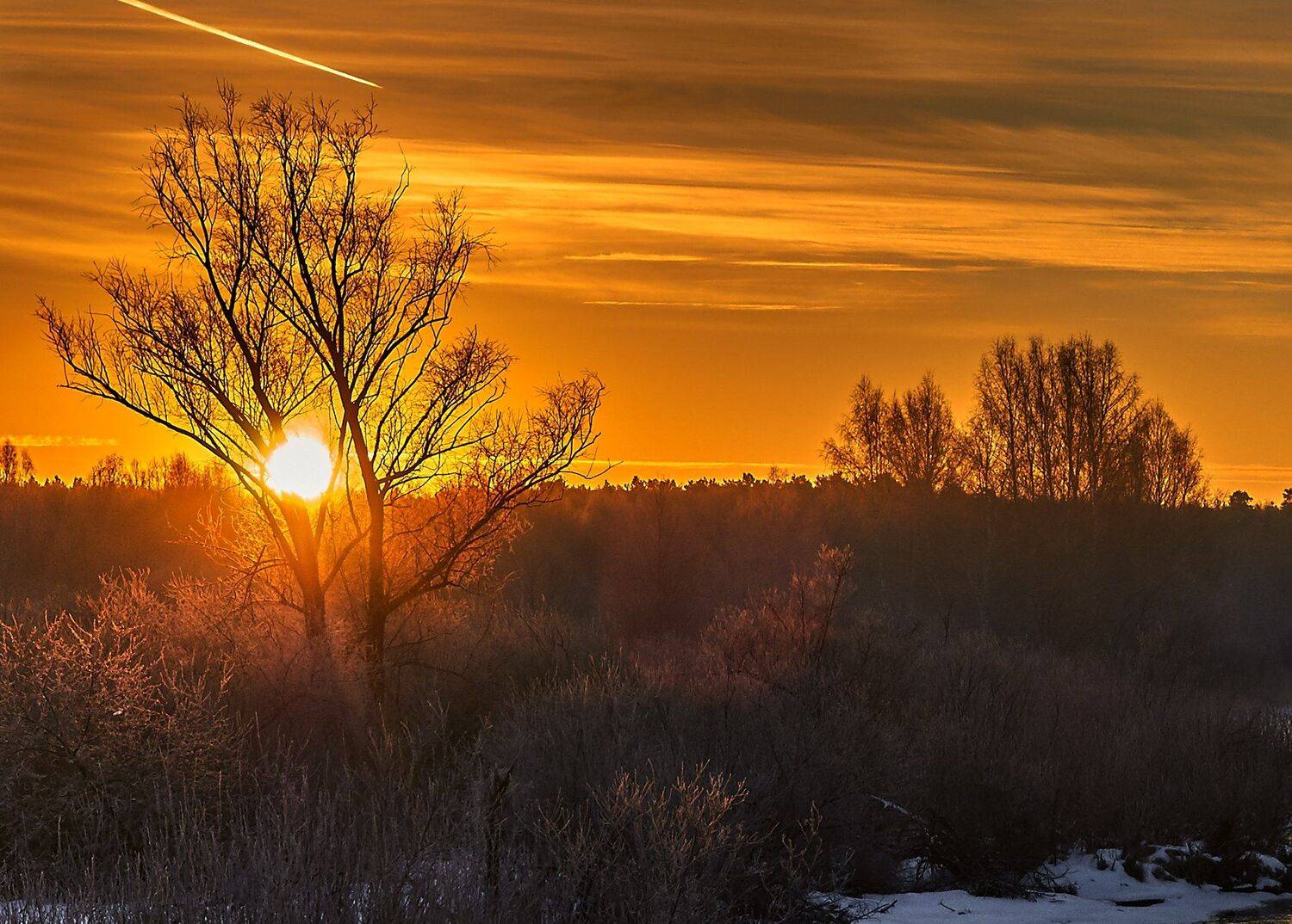 , Олег Богданов