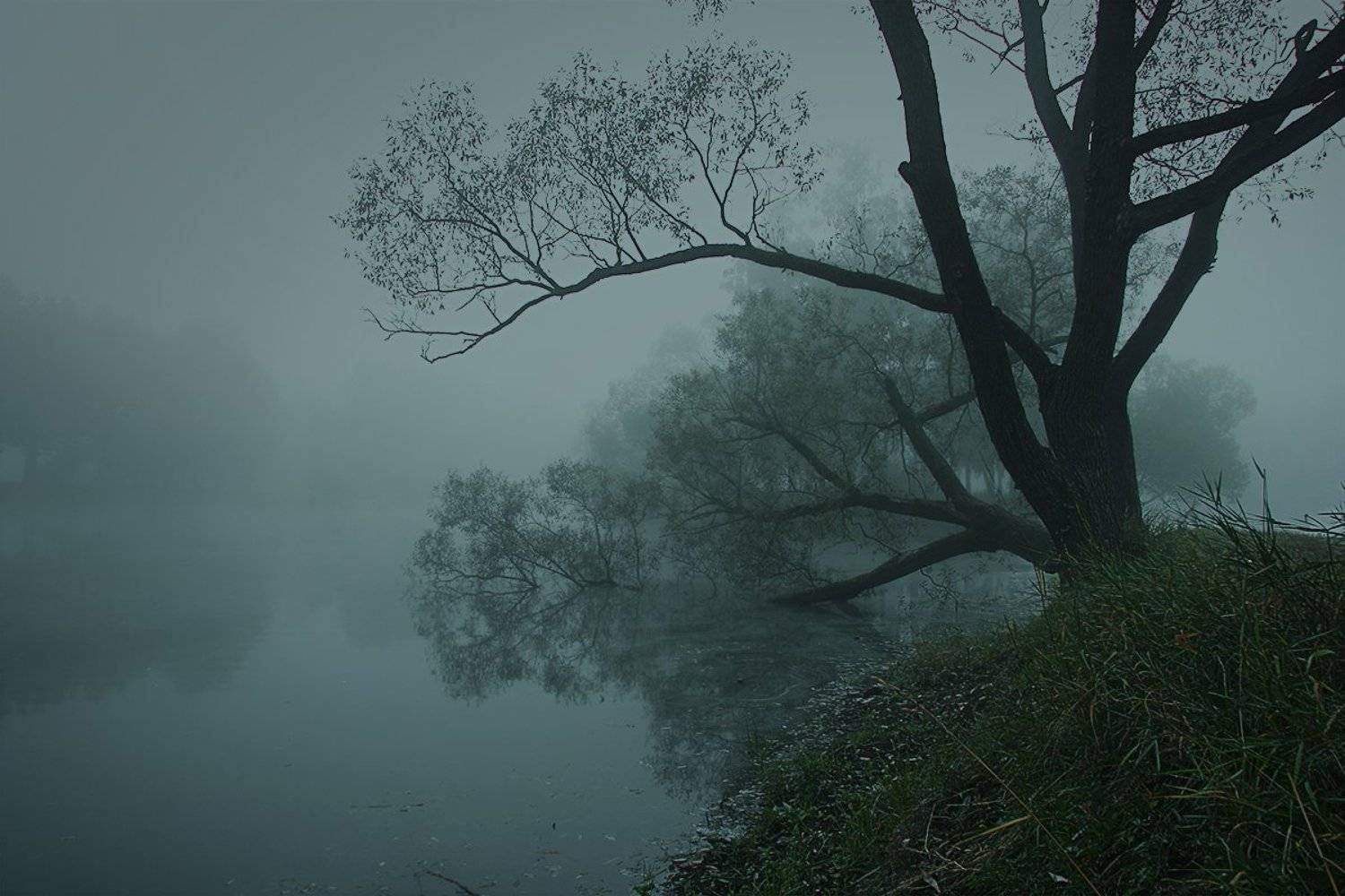 , Алена Яцун