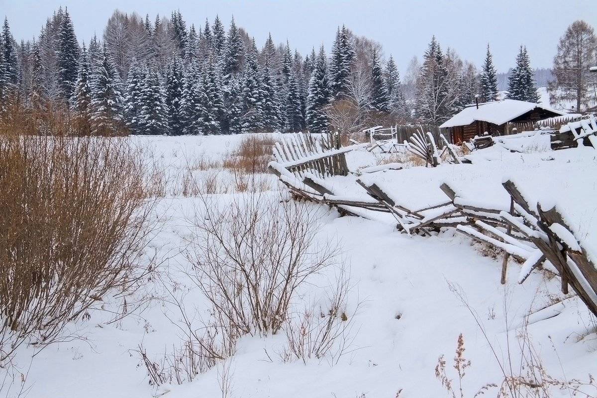 , Николай Морский
