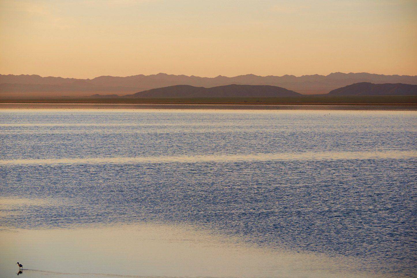 , Сергей Романчук