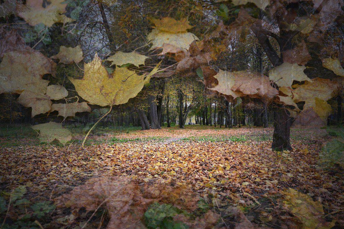 , Марина Никифорова