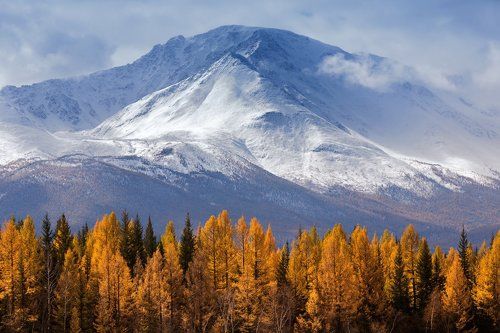 Люблю я недоступности вершин