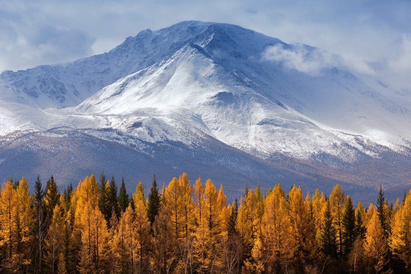 алтай, южно-чуйский перевал Люблю я недоступности вершин фото превью