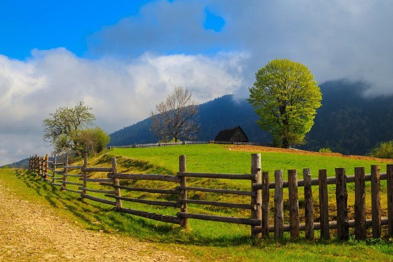 Карпаты, горы, зелень, весна, украина Карпатские фото превью
