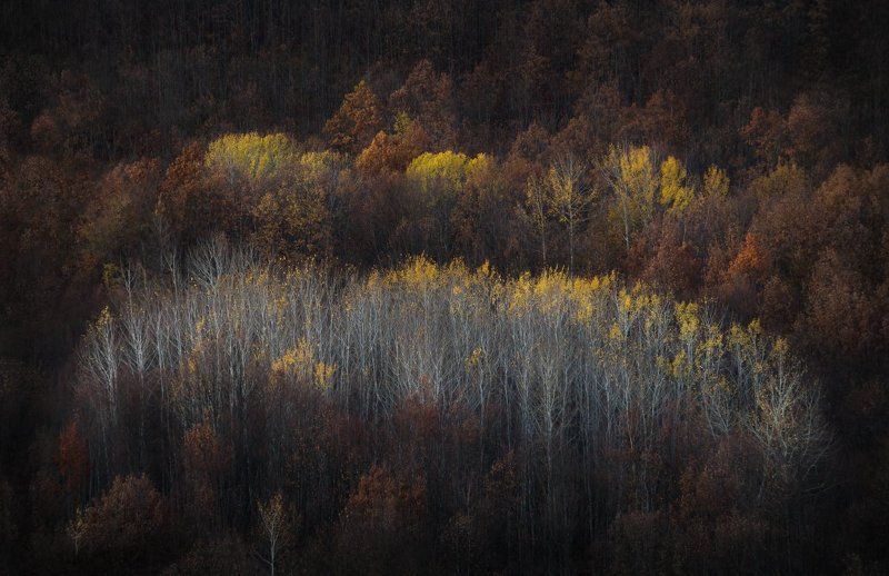 Островок фото превью