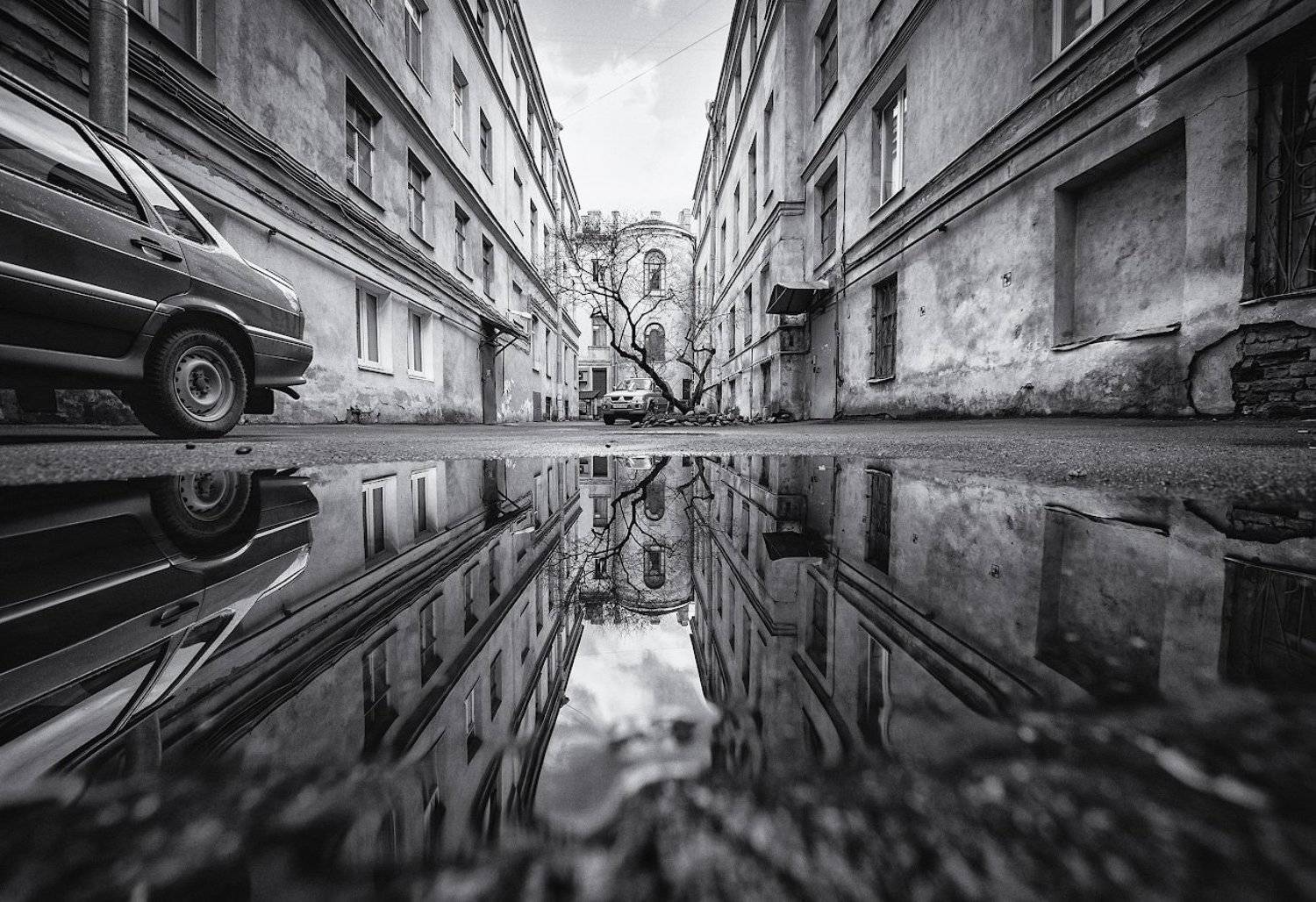 , Лунный Ежик