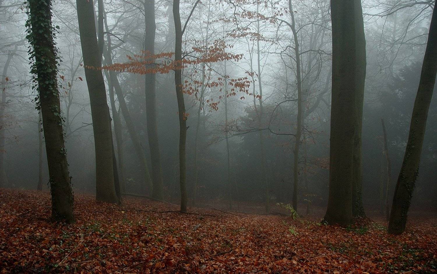 , Борис Алабугин