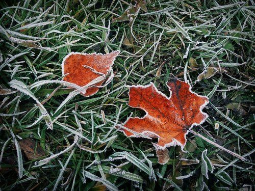 Успеть до оттепели...