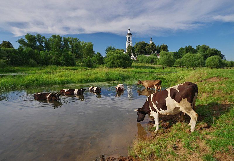 Филипповские пасторали фото превью