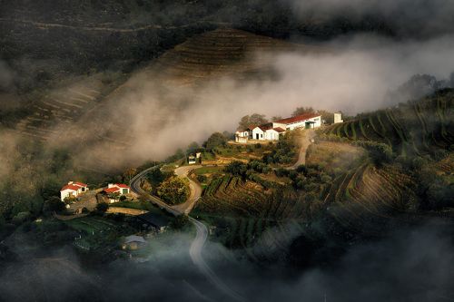 В виноградной долине