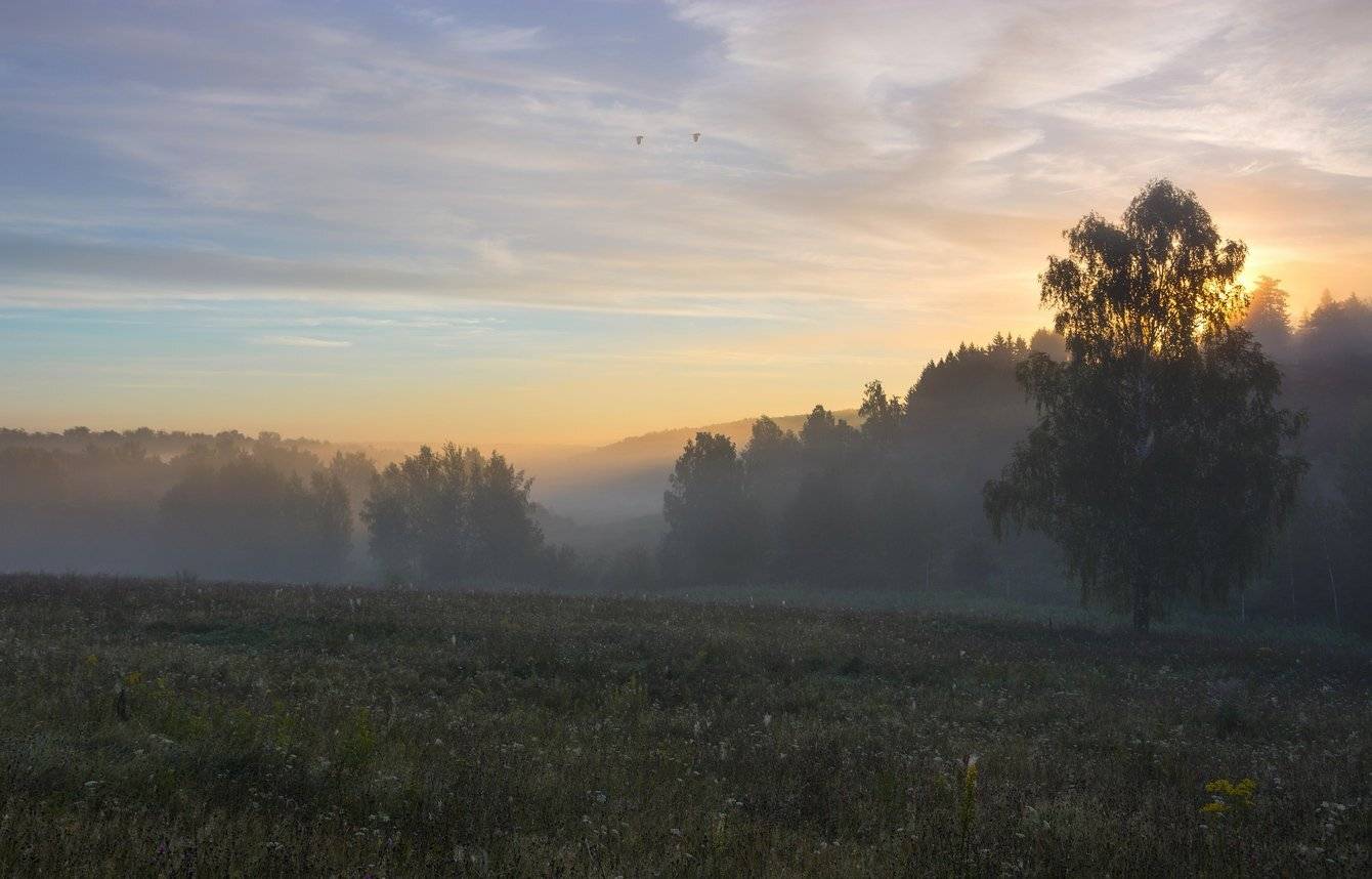 , Руслан Сигушин