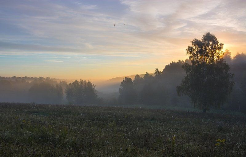 Утро. Лето. фото превью