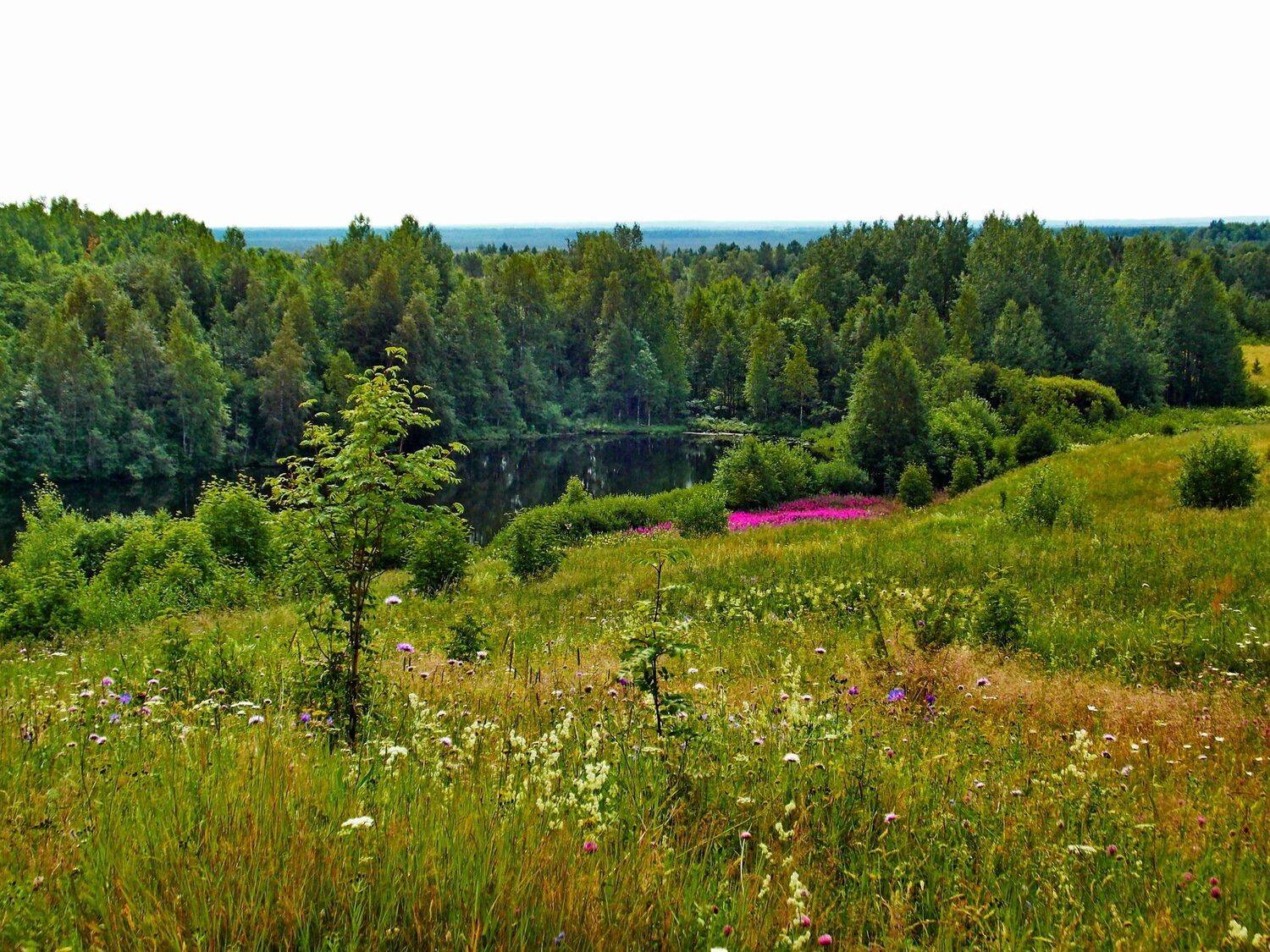 , Марина Никулина
