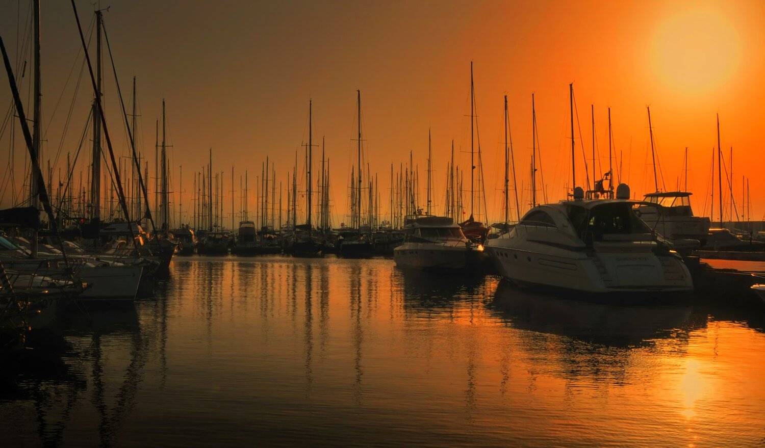 тунис, Владимир