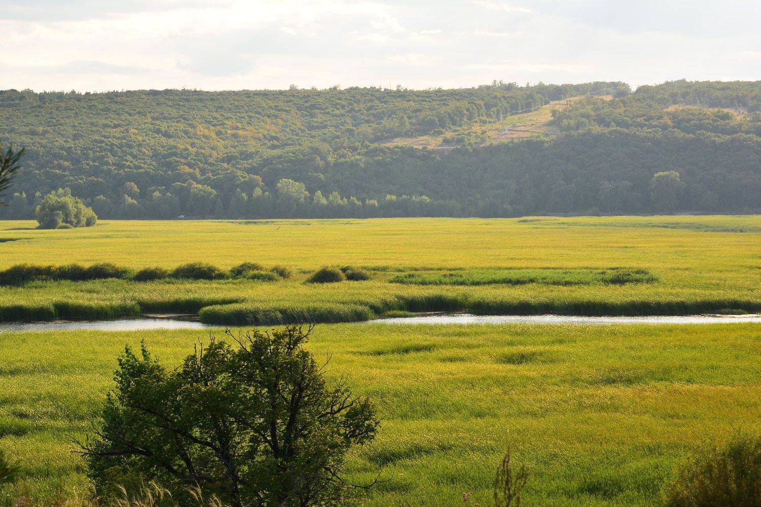 , Ирина Засолова