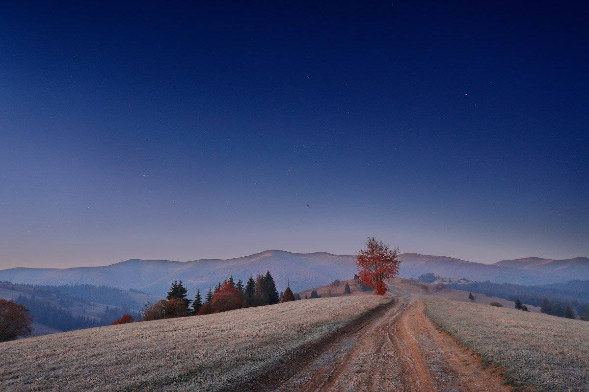 Карпаты, Ноябрь, Осень, Рассвет, Украина, Утро, Вейзе Максим