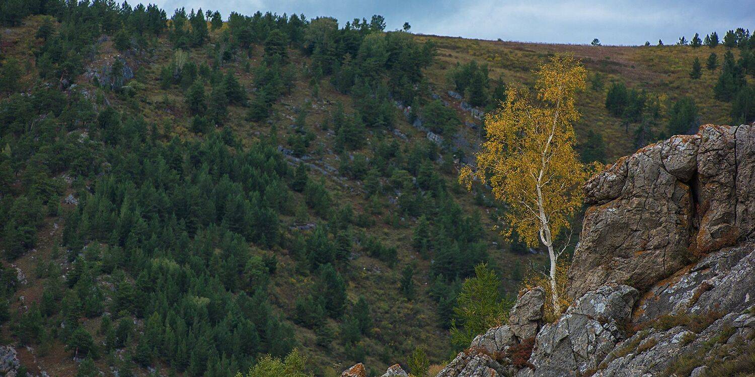 altay, altai, Ruslan