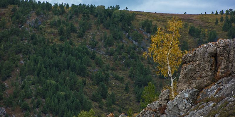 altay, altai Alone фото превью