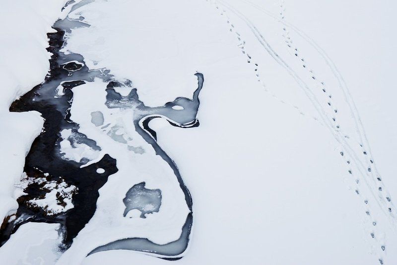 профиль, лицо, снег, зима, абстракция Профиль зимы фото превью