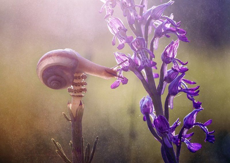 День обещает быть жарким фото превью