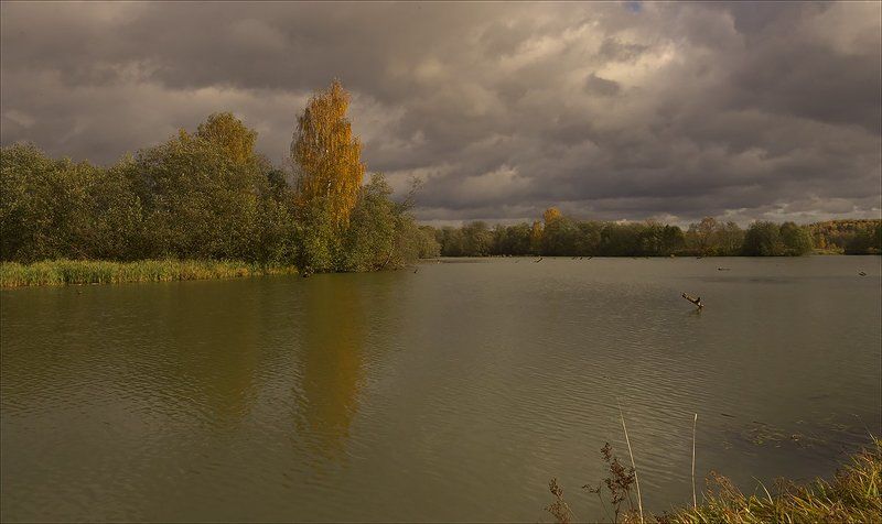 *** фото превью