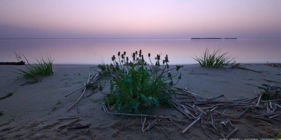 Рыбинское, Ярославская область, Алексей Лобанов