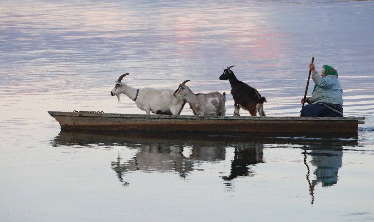 , Валерий Кондратов
