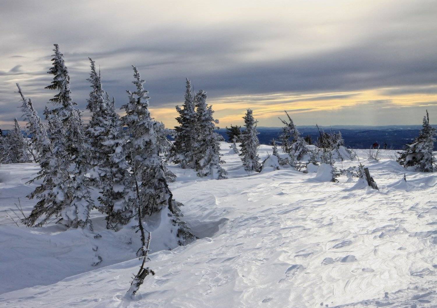 шерегеш, гора зелёная, снег, горная шория, зима, Галина Хвостенко