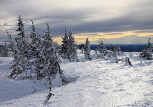 Всем ветрам назло