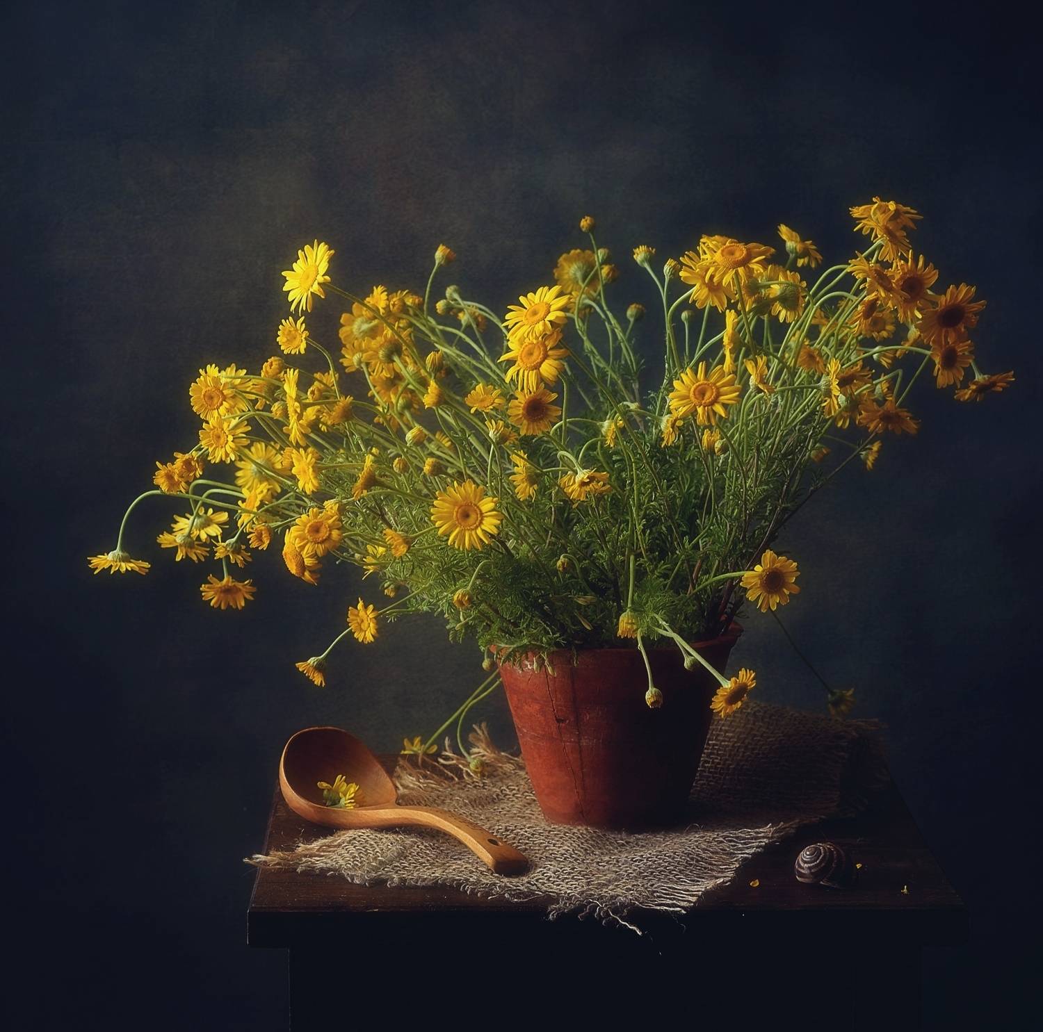 натюрморт,цветы,пупавка,букет,лето, Наталия К