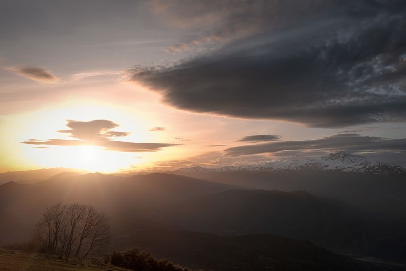 Sundown With Tree фото превью