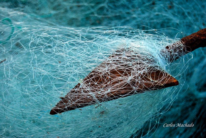 Abstract, Street, reportage, Ocean The Spear of Poseidon фото превью