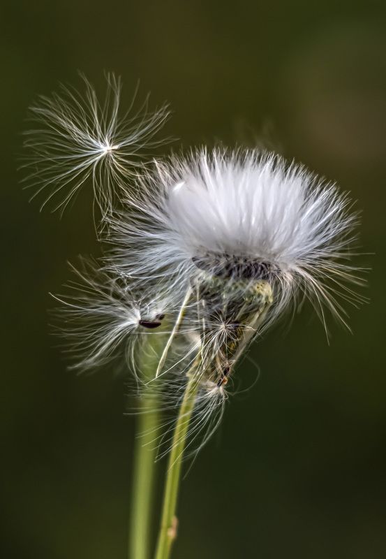 Расставание фото превью