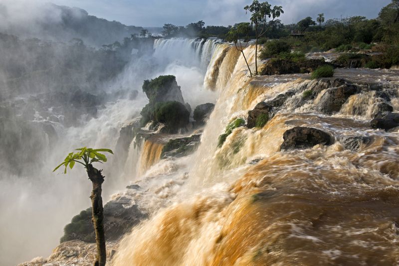 *** фото превью