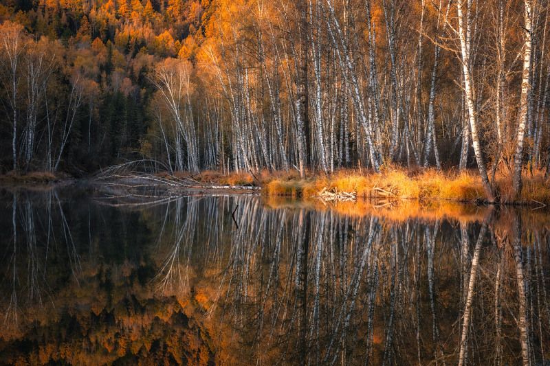 altay, lake, mirror, water, landscape, autumn, trees, outdoor *** фото превью