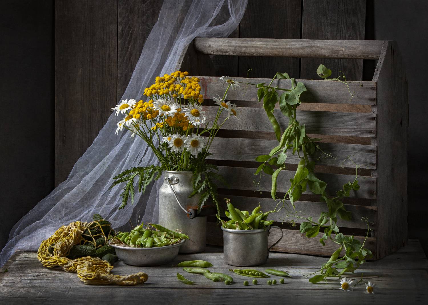 , Татьяна Попова